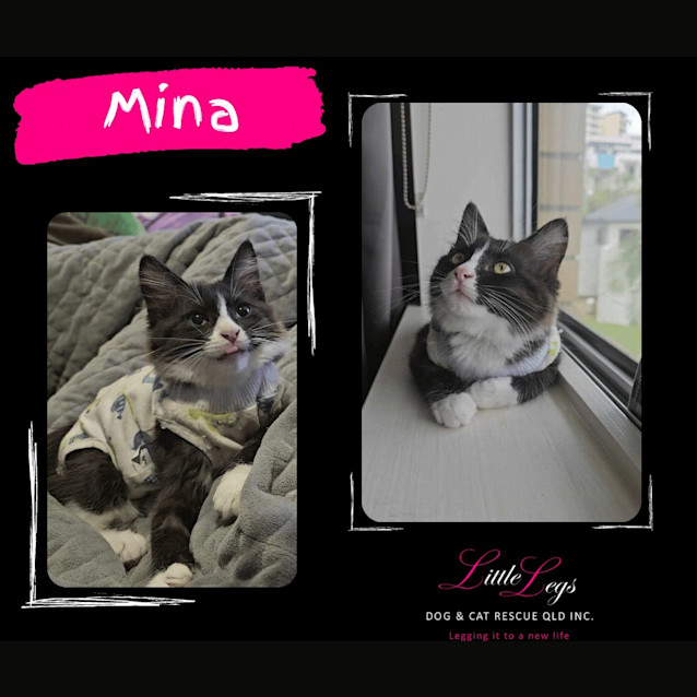 Photo of Mina