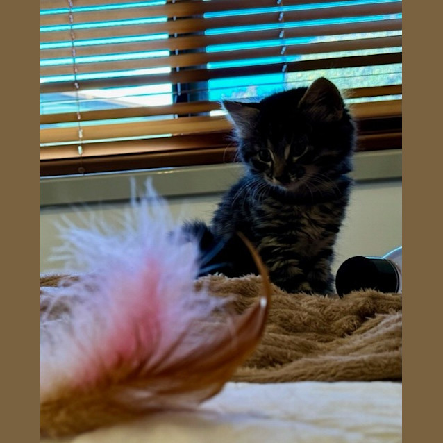 Photo of Gideon