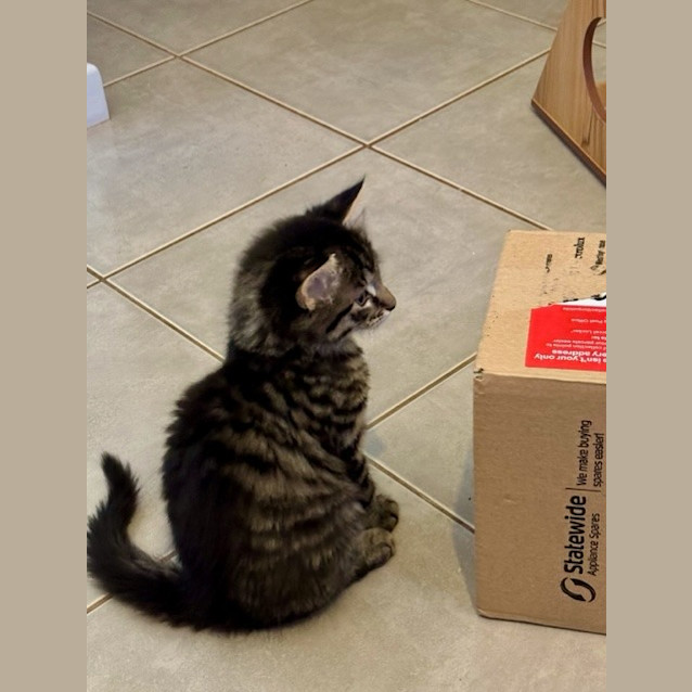 Photo of Gideon