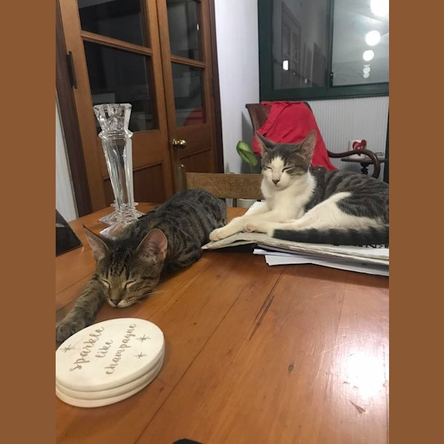 Photo of Lord Leopold