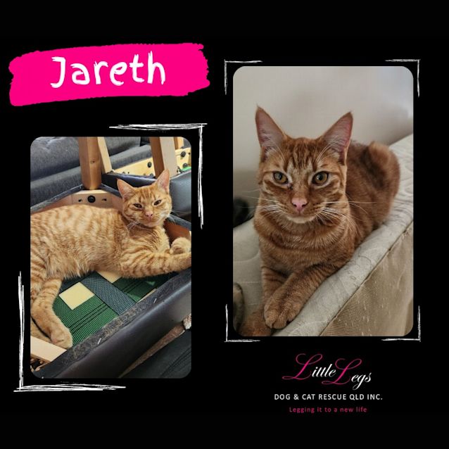 Photo of Jareth