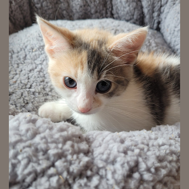 Photo of Maeve