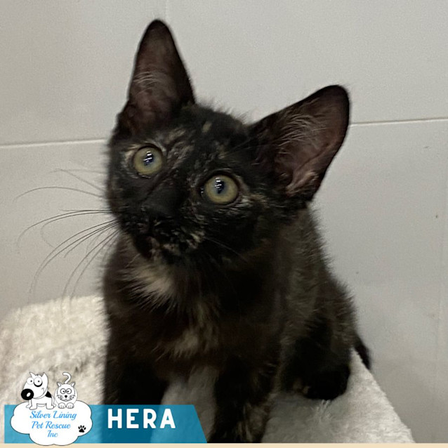 Photo of Hera