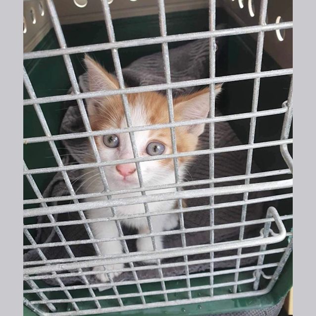 Photo of Sprout 🌱 