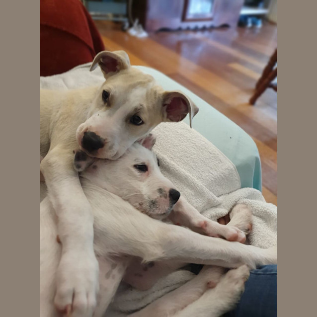 Photo of Hewie