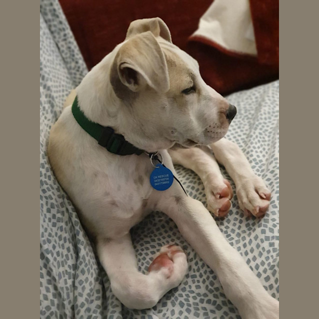 Photo of Hewie