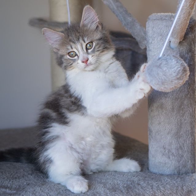 Photo of Tinkerbell
