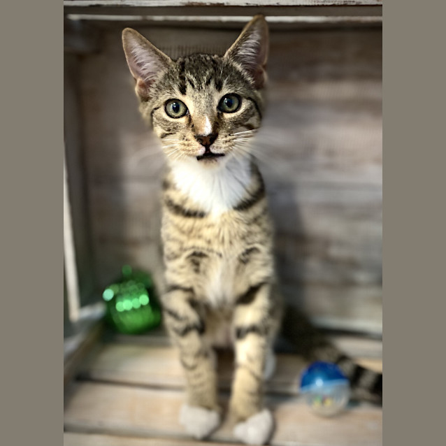 Photo of Calvin