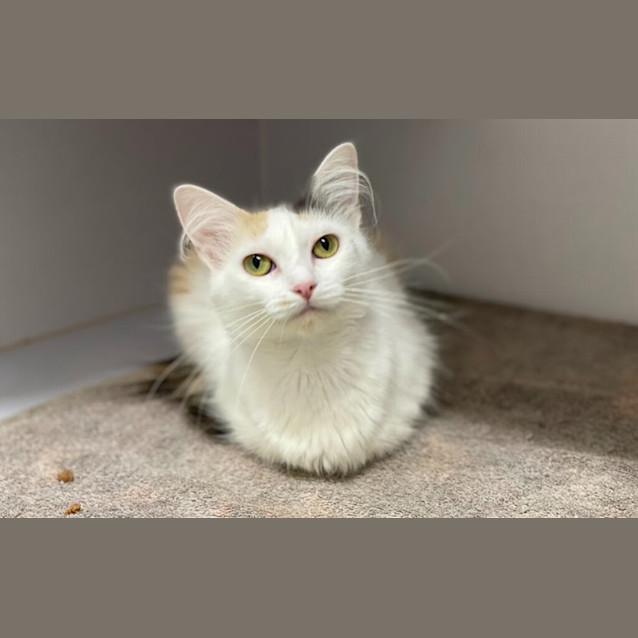 Photo of Lucy