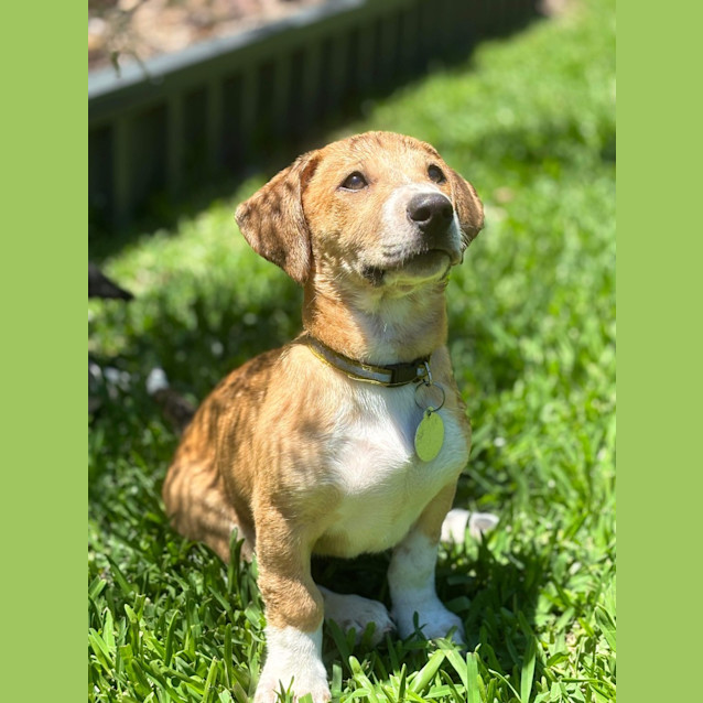 Photo of Star
