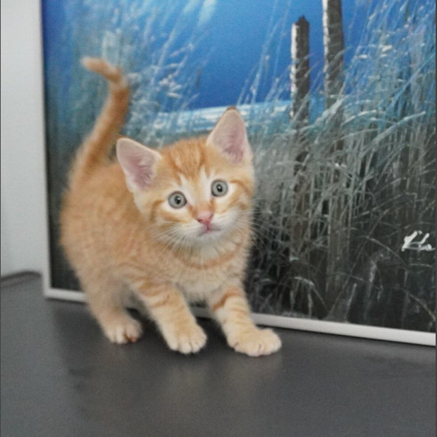 Photo of Ramon
