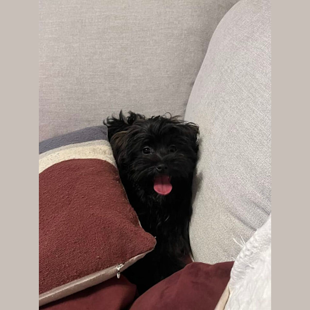 Photo of Chyna