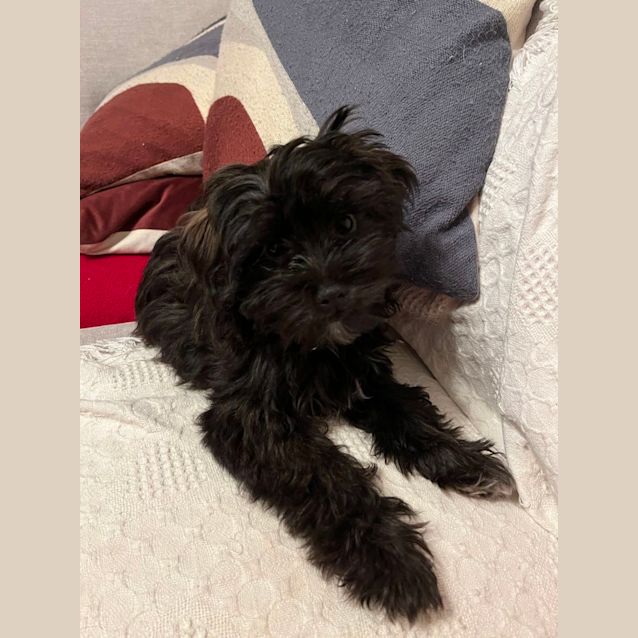 Photo of Chyna