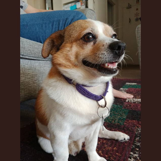 Photo of Flash