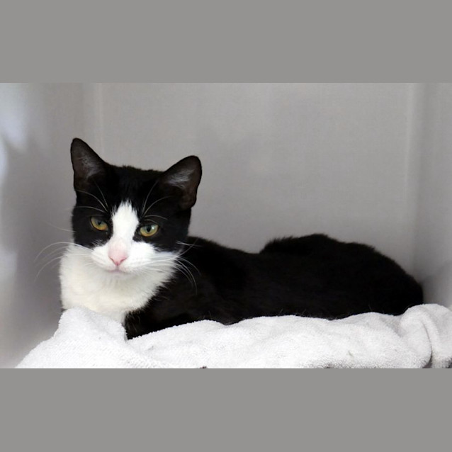 Photo of Rosie Sta011845