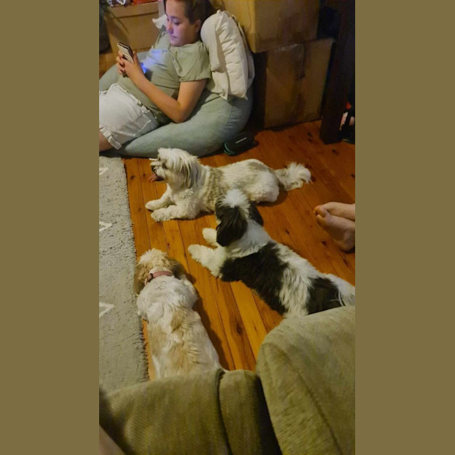 Photo of Boo And Dory 