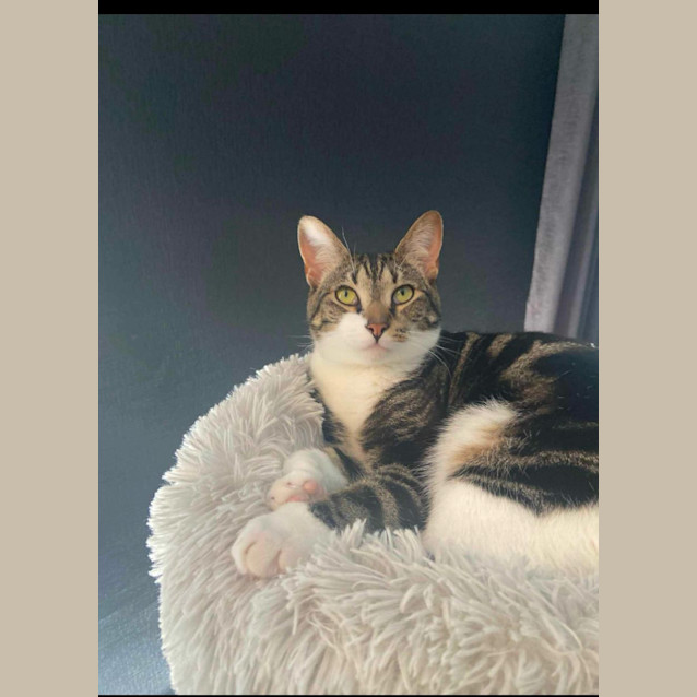 Photo of Happy   Assisted Rehome