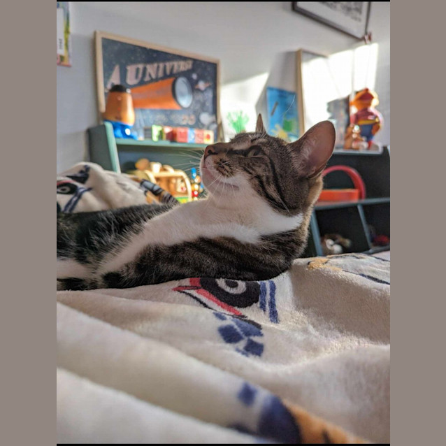 Photo of Happy   Assisted Rehome