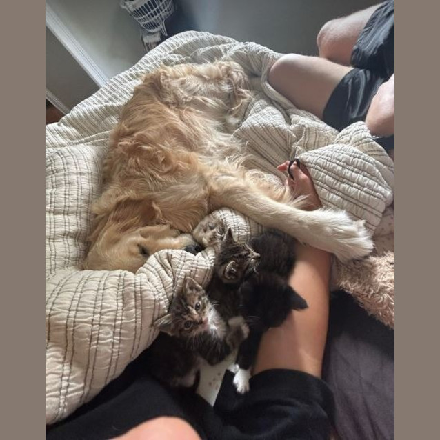 Photo of Boots