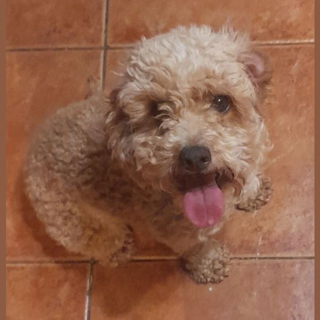 Photo of Millie Mae