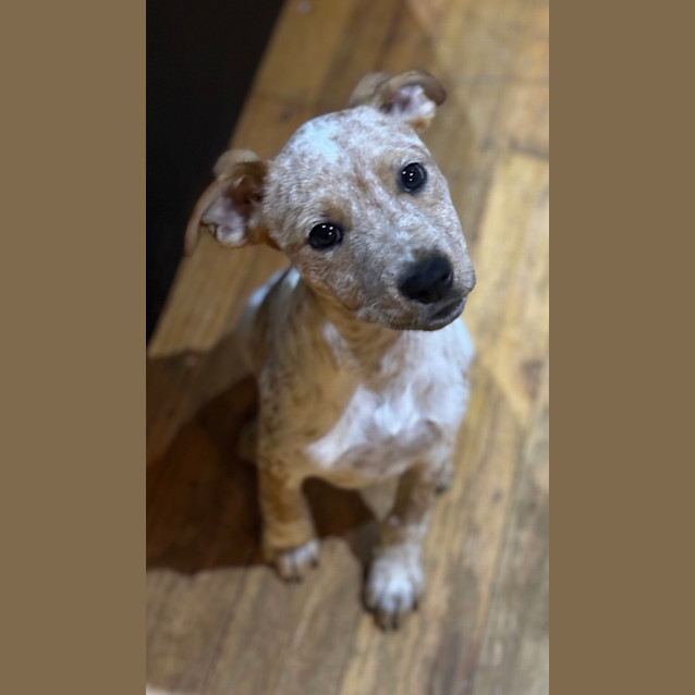 Photo of Sam 