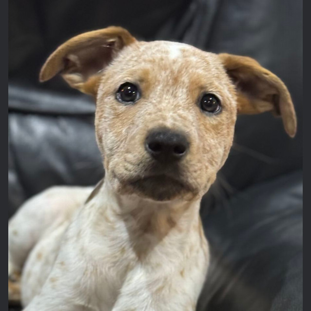 Photo of Sam 
