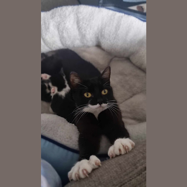 Photo of Daisey
