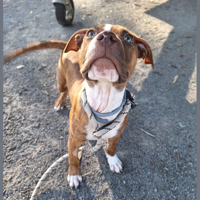 Photo of Winston 