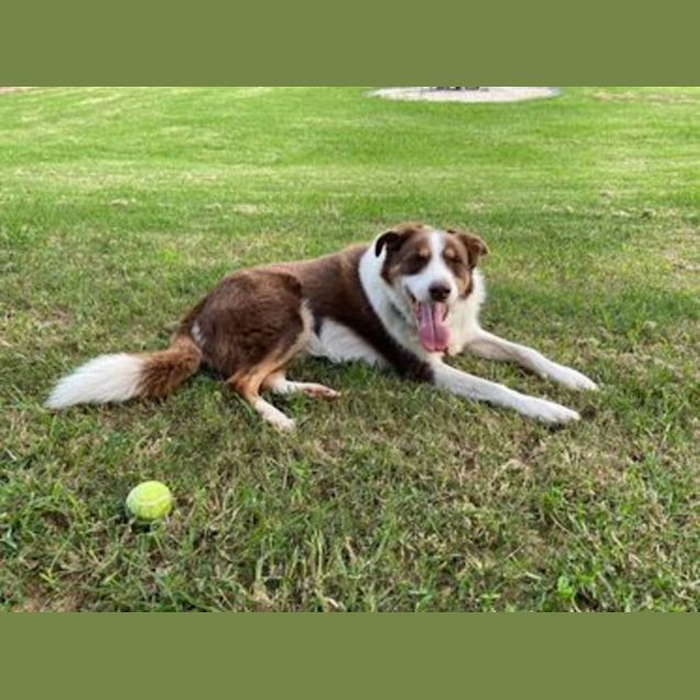 Photo of Charlie