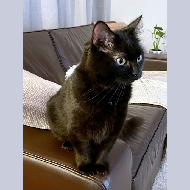 Photo of Krystal Sta011627