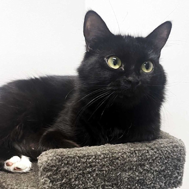 Photo of Pendles Sta011714