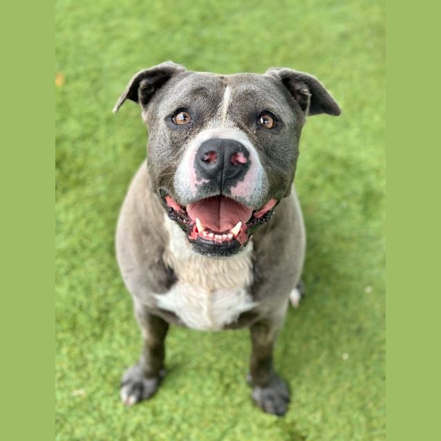 Photo of Zeus