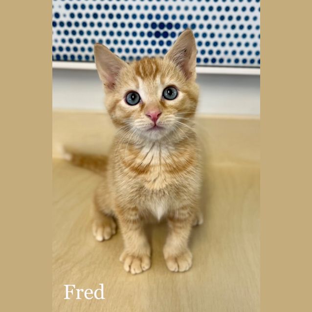 Photo of Fred