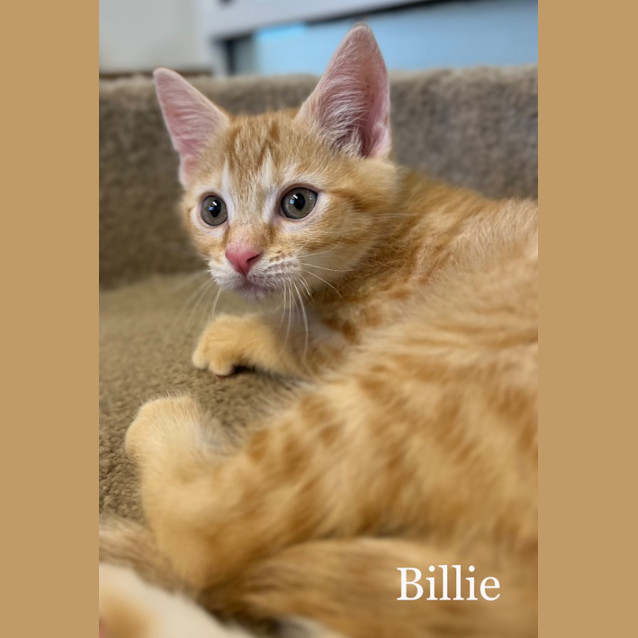 Photo of Billie
