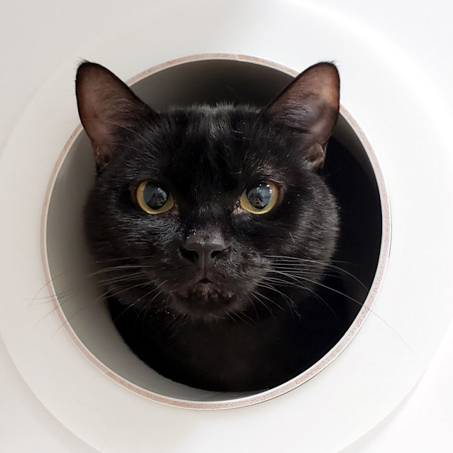 Photo of Oleg Sta011713