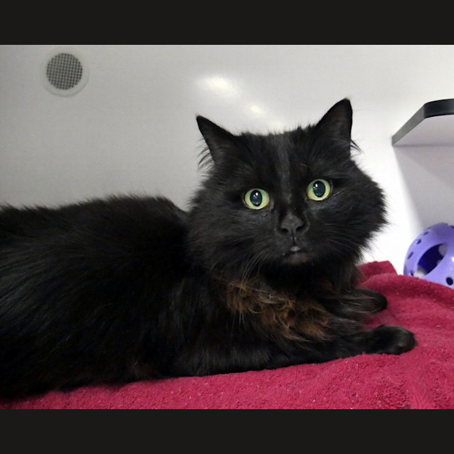 Photo of Sophie Sta011903