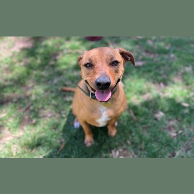 Photo of Mabel