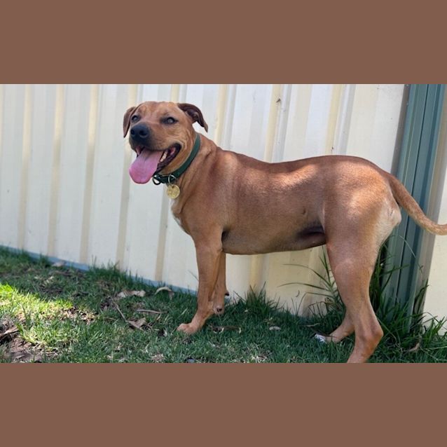 Photo of Mabel
