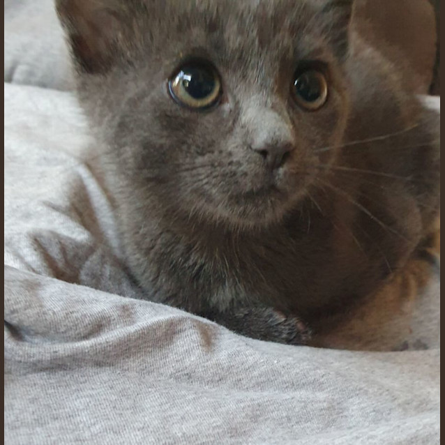Photo of Denim 