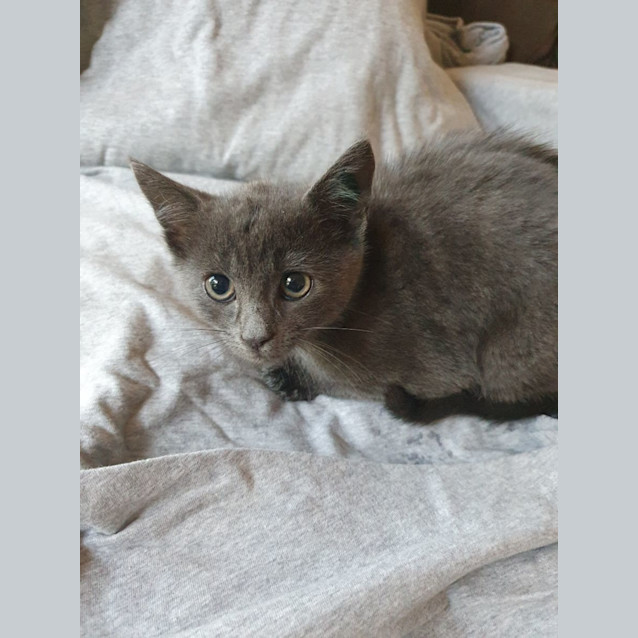 Photo of Denim 