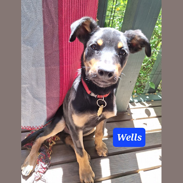 Photo of Wells