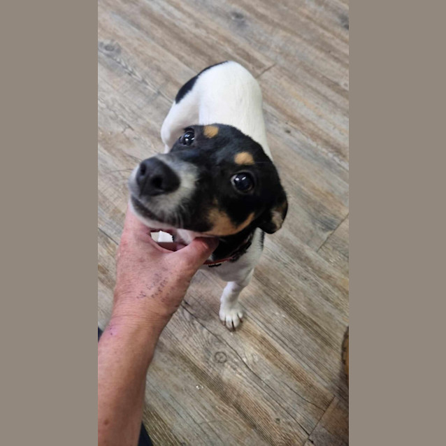 Photo of Lily