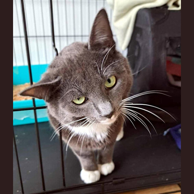 Photo of Simon Sta011751