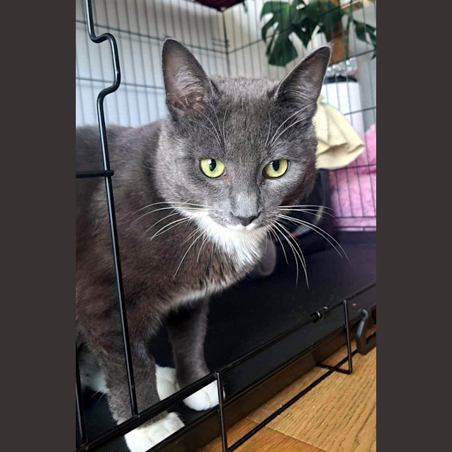 Photo of Simon Sta011751