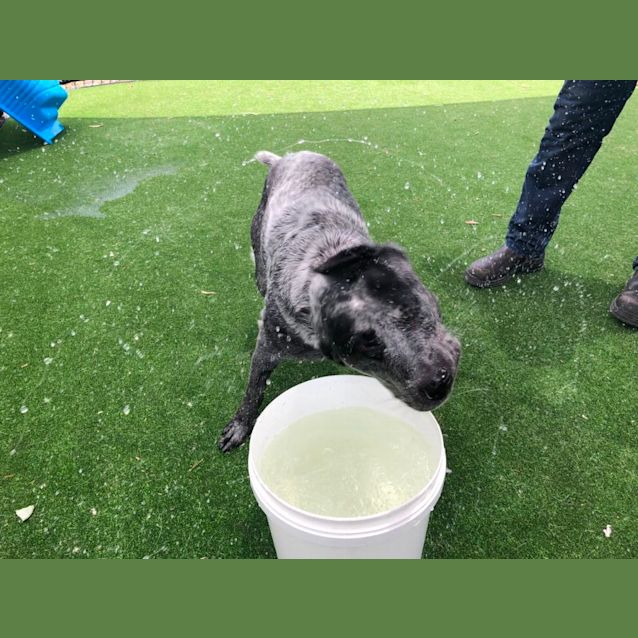 Photo of Aurora Imp 1949