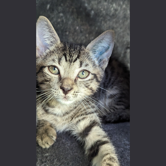 Photo of Spook