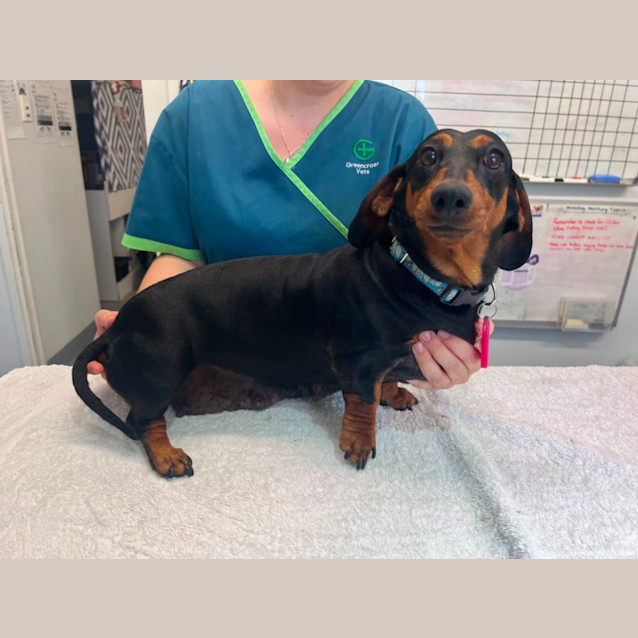 Photo of Mumma Margo 