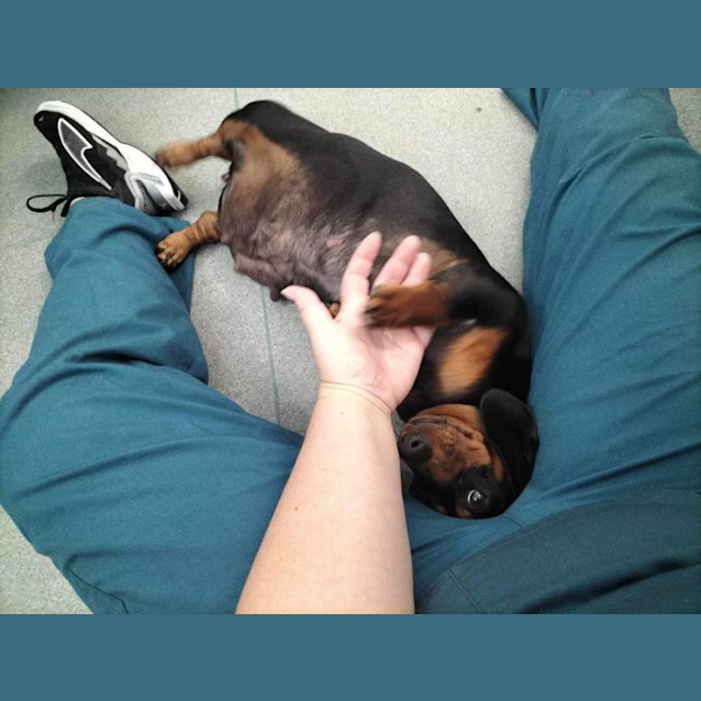 Photo of Mumma Margo 