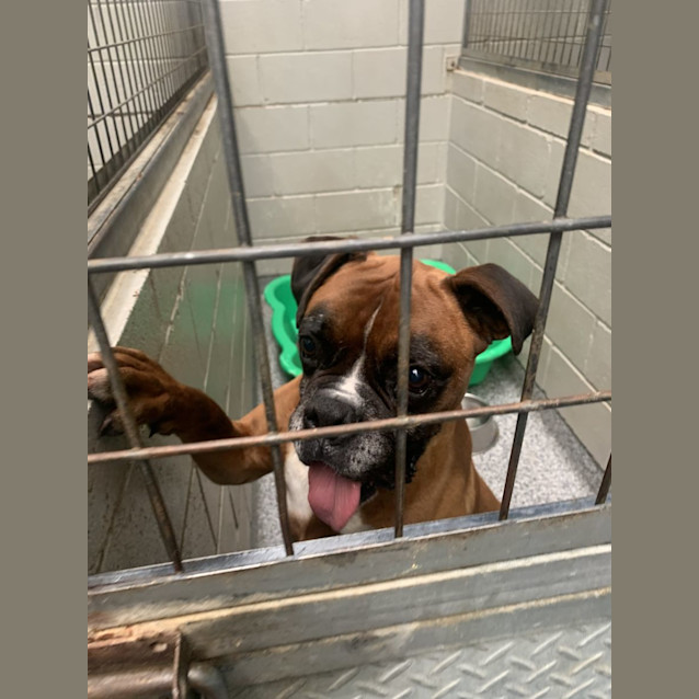 Photo of Benji And Cruise