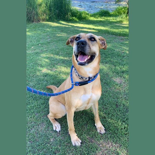 Photo of Zimba
